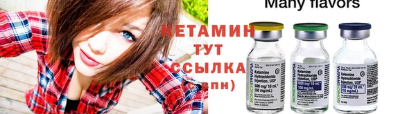 индика Тутаев