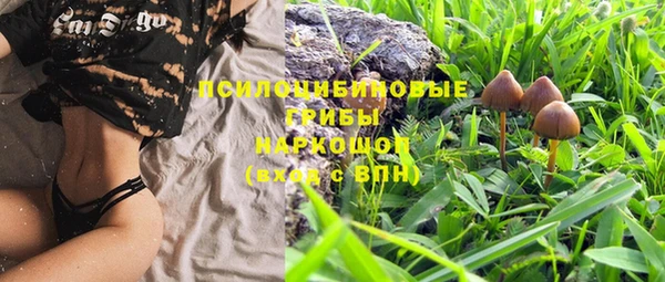 MDMA Premium VHQ Горнозаводск