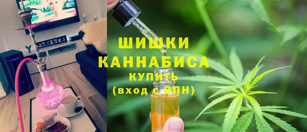 гидропоника Вяземский