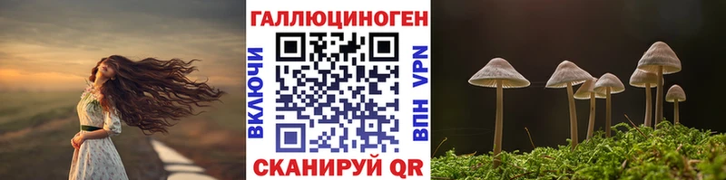 Галлюциногенные грибы GOLDEN TEACHER  Боровск 